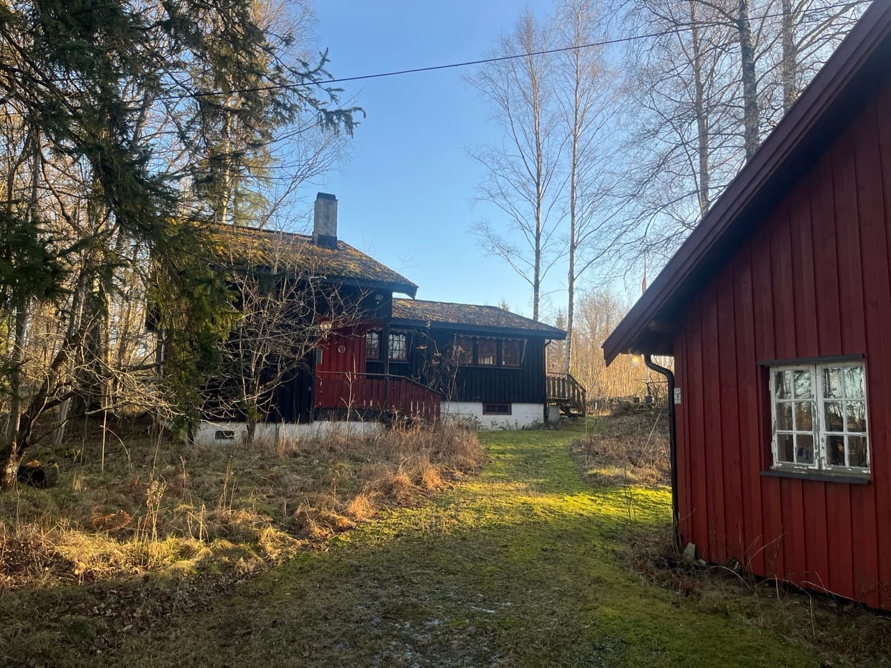 Fotografi av Karins hus i skogen en klar vinterdag. Det mørkebeisede huset med rød veranda ligger til venstre mellom grantrær og bjørk, med atelierets røde vegg til høyre og en gresslette imellom.