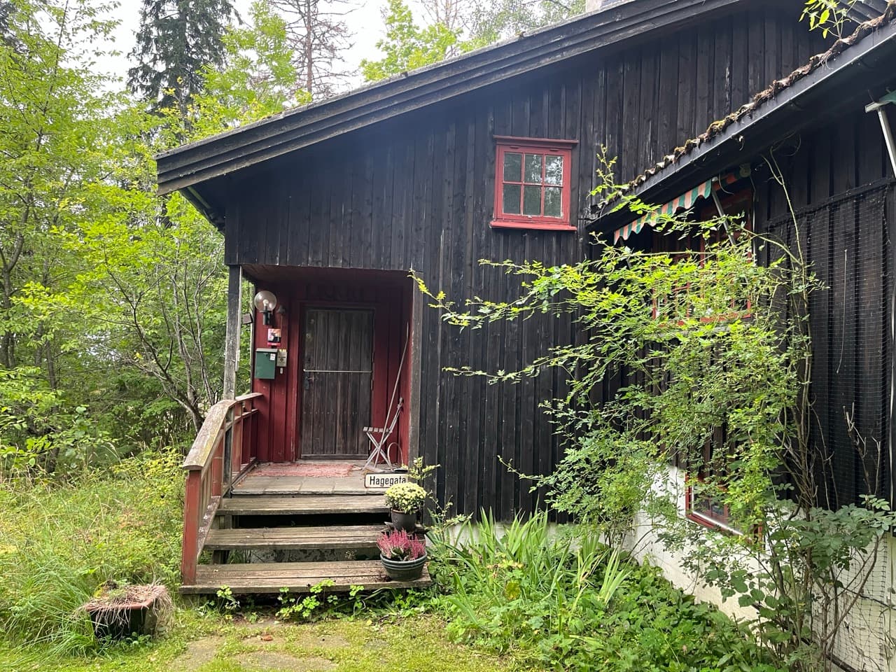 Fotografi av inngangspartiet til et mørkebeiset trehus. En rød dør med tretrapp foran, et lite rødt sprossevindu over, og løvtrær og potteplanter tett inntil veggen.