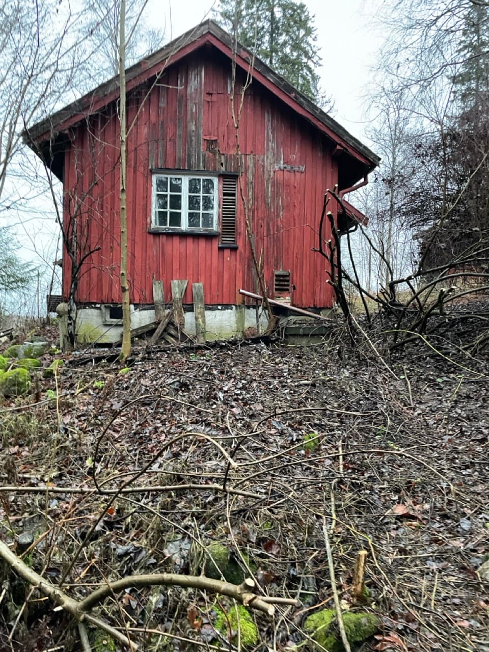 Photograph of the gable wall of a small red-painted outbuilding with peeling paint and a white glazing-bar window. The ground in front is covered with fallen branches and withered leaves.
